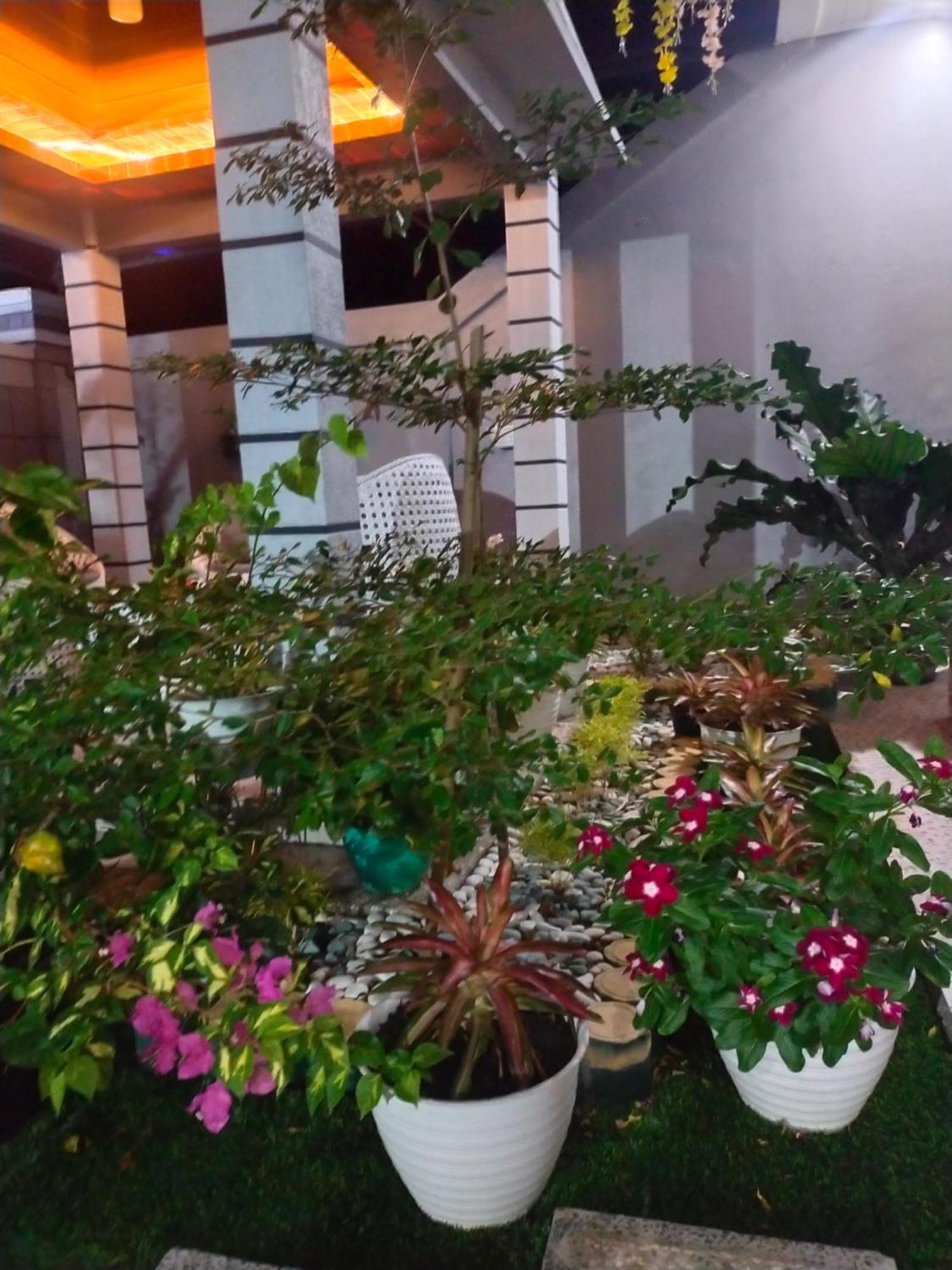 La Geiro Villa Labuan Bajo Buitenkant foto