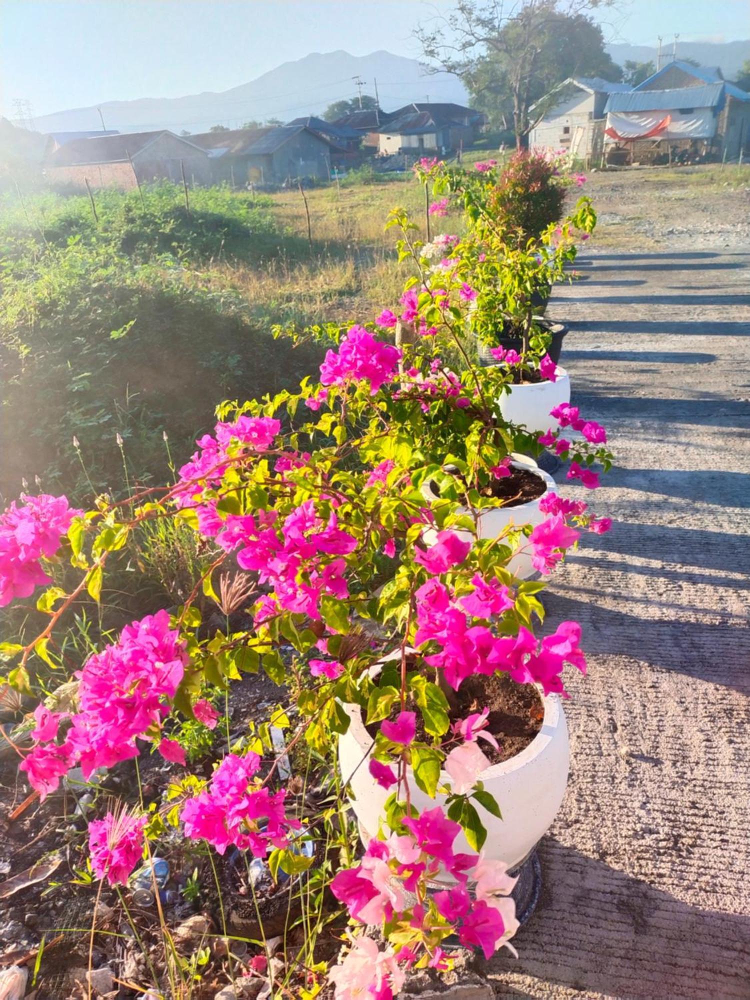 La Geiro Villa Labuan Bajo Buitenkant foto